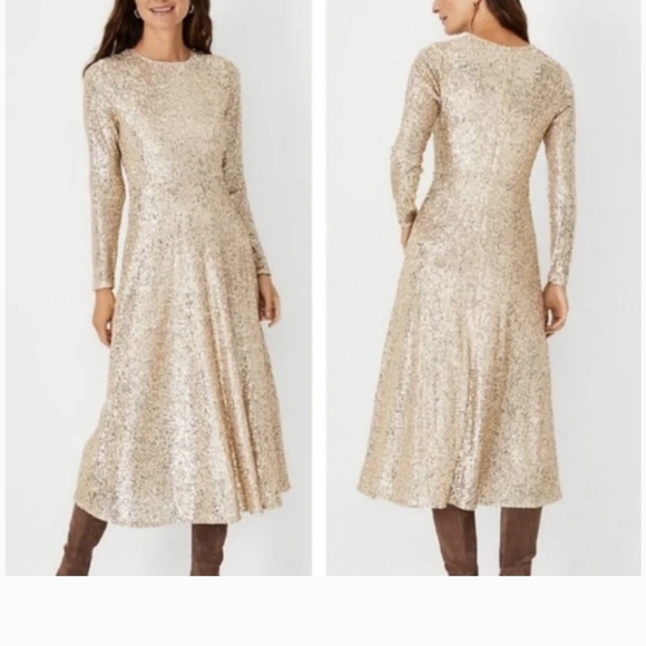 Elegant Sequin Long Sleeve Dress - Picture 1 of 5